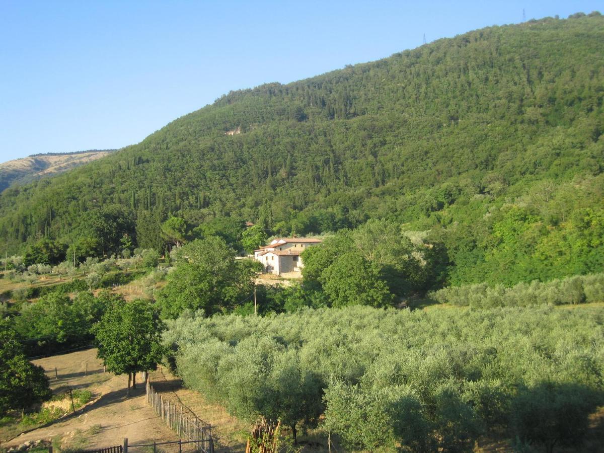Agriturismo Il Ponticello Vaiano  Buitenkant foto