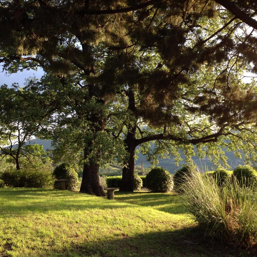 Agriturismo Il Ponticello Vaiano  Buitenkant foto